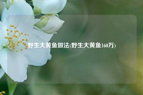 野生大黄鱼做法(野生大黄鱼160万)