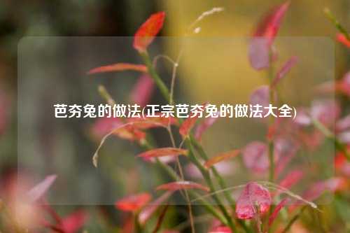 芭夯兔的做法(正宗芭夯兔的做法大全)