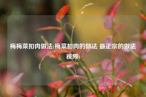 梅梅菜扣肉做法(梅菜扣肉的做法 最正宗的做法视频)