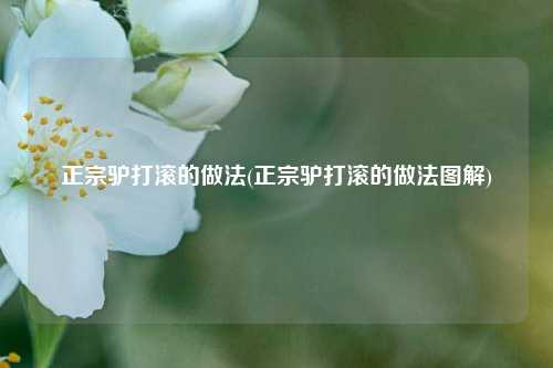 正宗驴打滚的做法(正宗驴打滚的做法图解)
