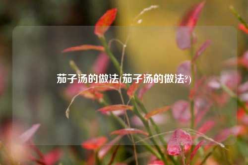 茄子汤的做法(茄子汤的做法?)