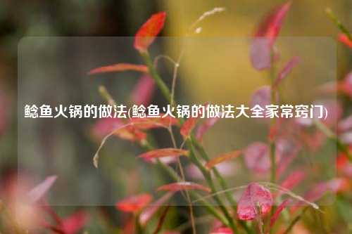 鲶鱼火锅的做法(鲶鱼火锅的做法大全家常窍门)