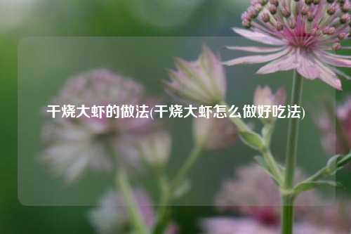 干烧大虾的做法(干烧大虾怎么做好吃法)