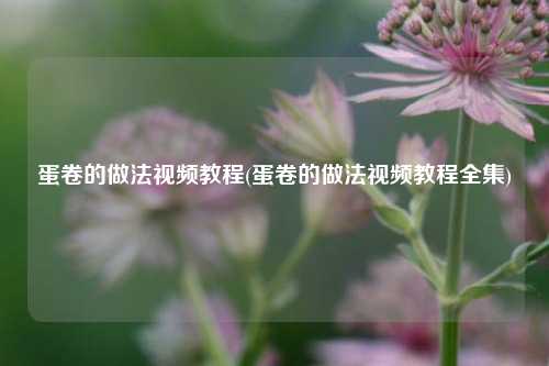 蛋卷的做法视频教程(蛋卷的做法视频教程全集)