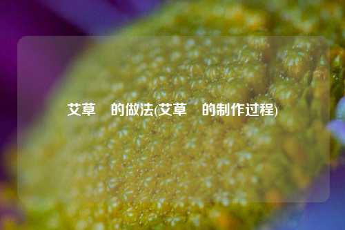 艾草粿的做法(艾草粿的制作过程)