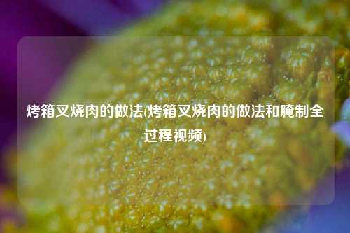 烤箱叉烧肉的做法(烤箱叉烧肉的做法和腌制全过程视频)