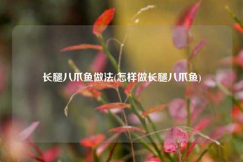 长腿八爪鱼做法(怎样做长腿八爪鱼)