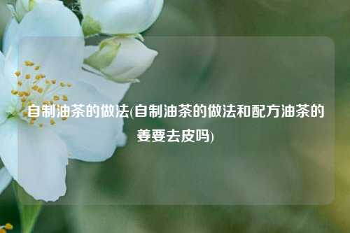自制油茶的做法(自制油茶的做法和配方油茶的姜要去皮吗)