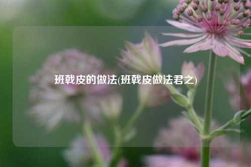 班戟皮的做法(班戟皮做法君之)