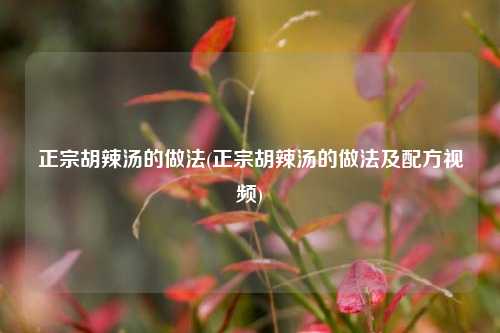 正宗胡辣汤的做法(正宗胡辣汤的做法及配方视频)