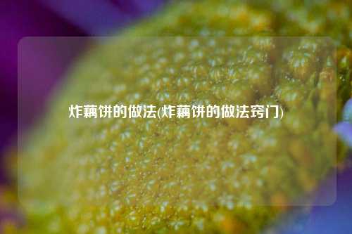 炸藕饼的做法(炸藕饼的做法窍门)