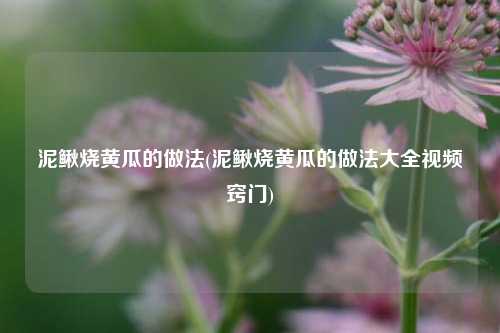 泥鳅烧黄瓜的做法(泥鳅烧黄瓜的做法大全视频窍门)