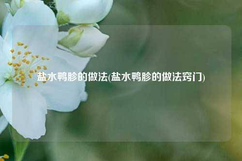 盐水鸭胗的做法(盐水鸭胗的做法窍门)