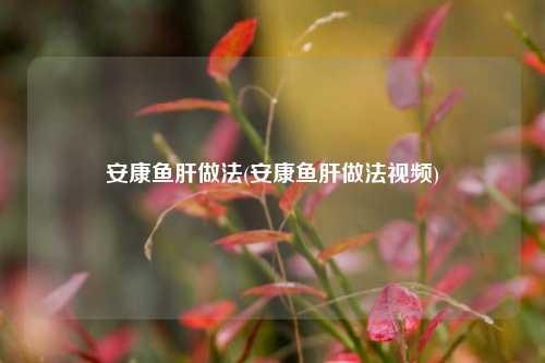 安康鱼肝做法(安康鱼肝做法视频)