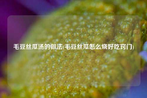 毛豆丝瓜汤的做法(毛豆丝瓜怎么烧好吃窍门)